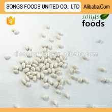 Egyptian white kidney beans importer